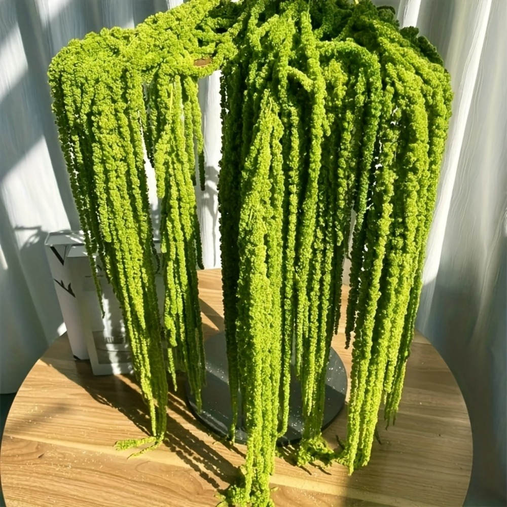 4-teiliges Set Künstliche Amar – Sphagnum Moss Dry Bewertung und Preis