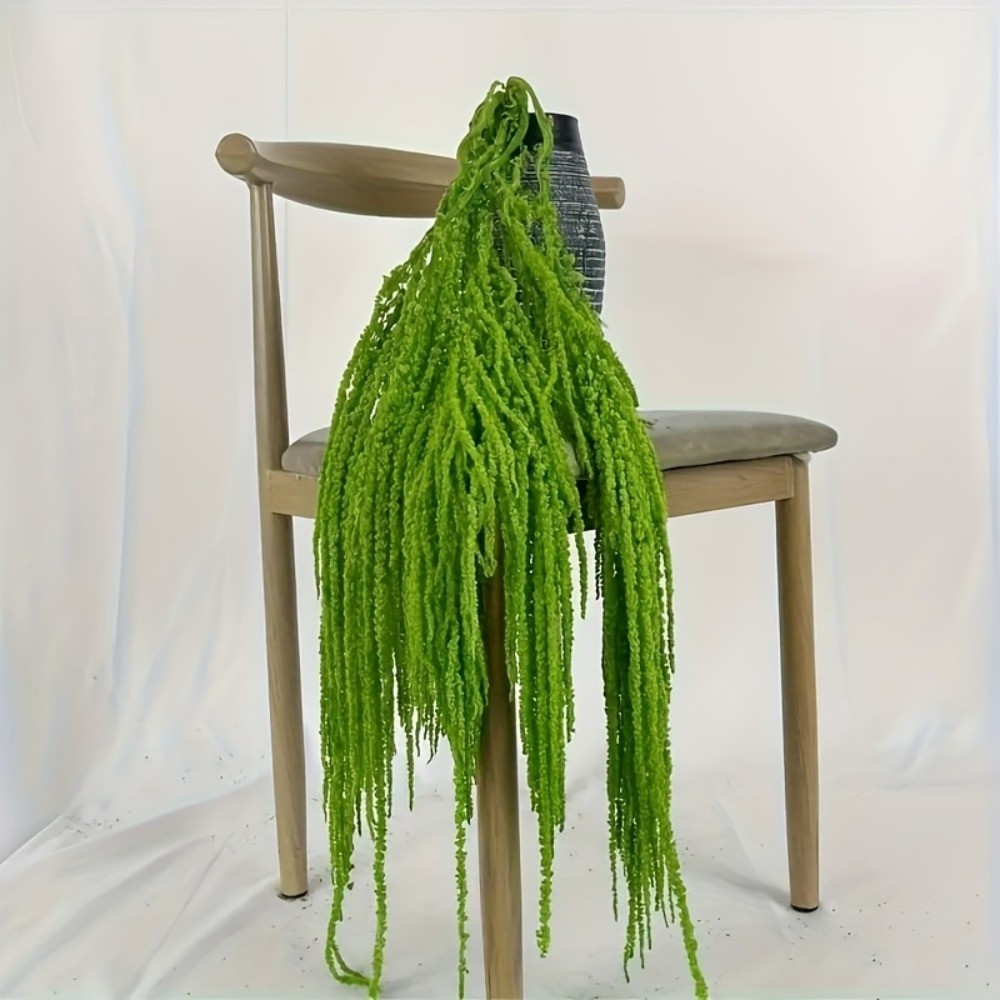 4-teiliges Set Künstliche Amar – Sphagnum Moss Dry Bewertung und Preis