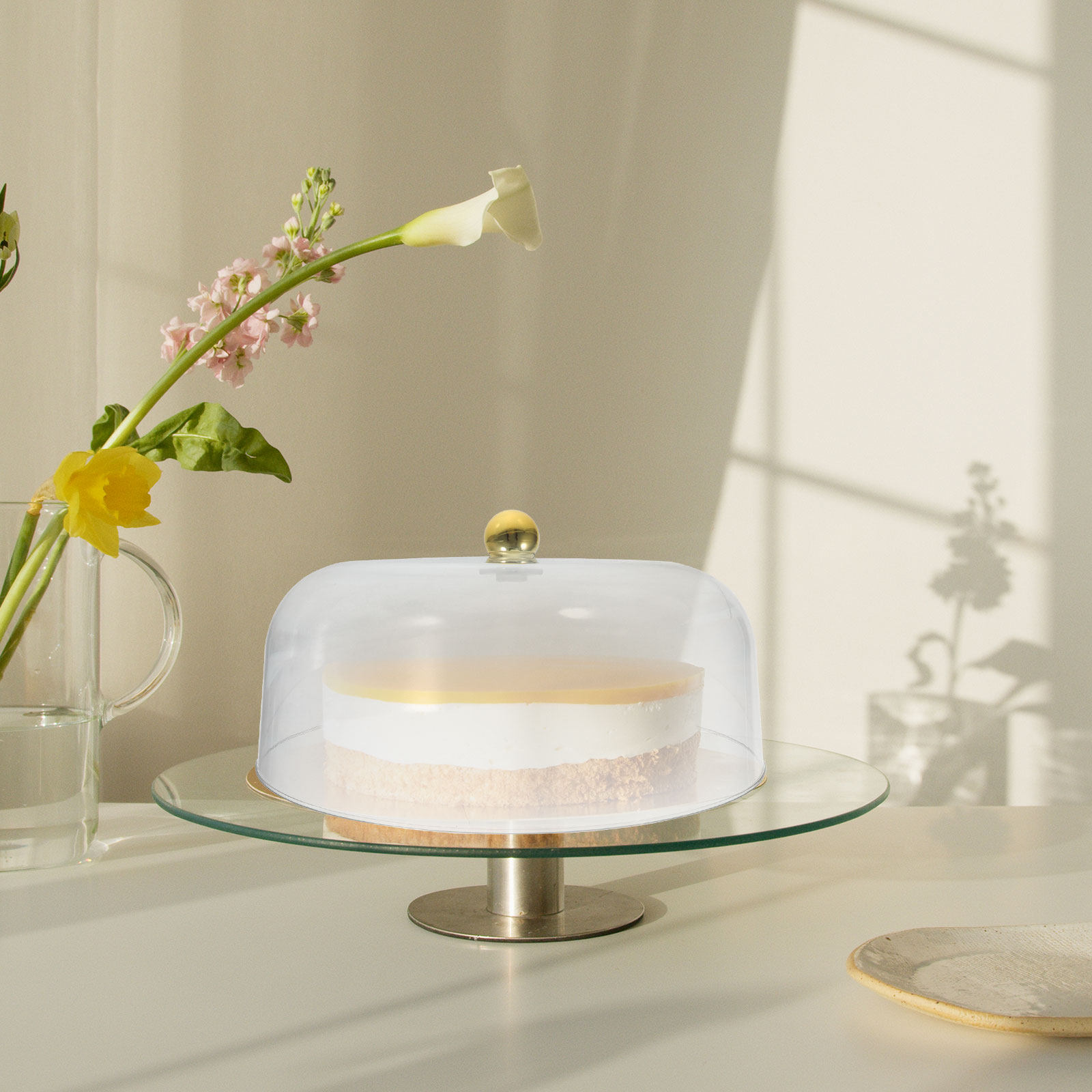 Transparente Tortenhaube aus K – Plastic Dome Clear Bewertung und Preis