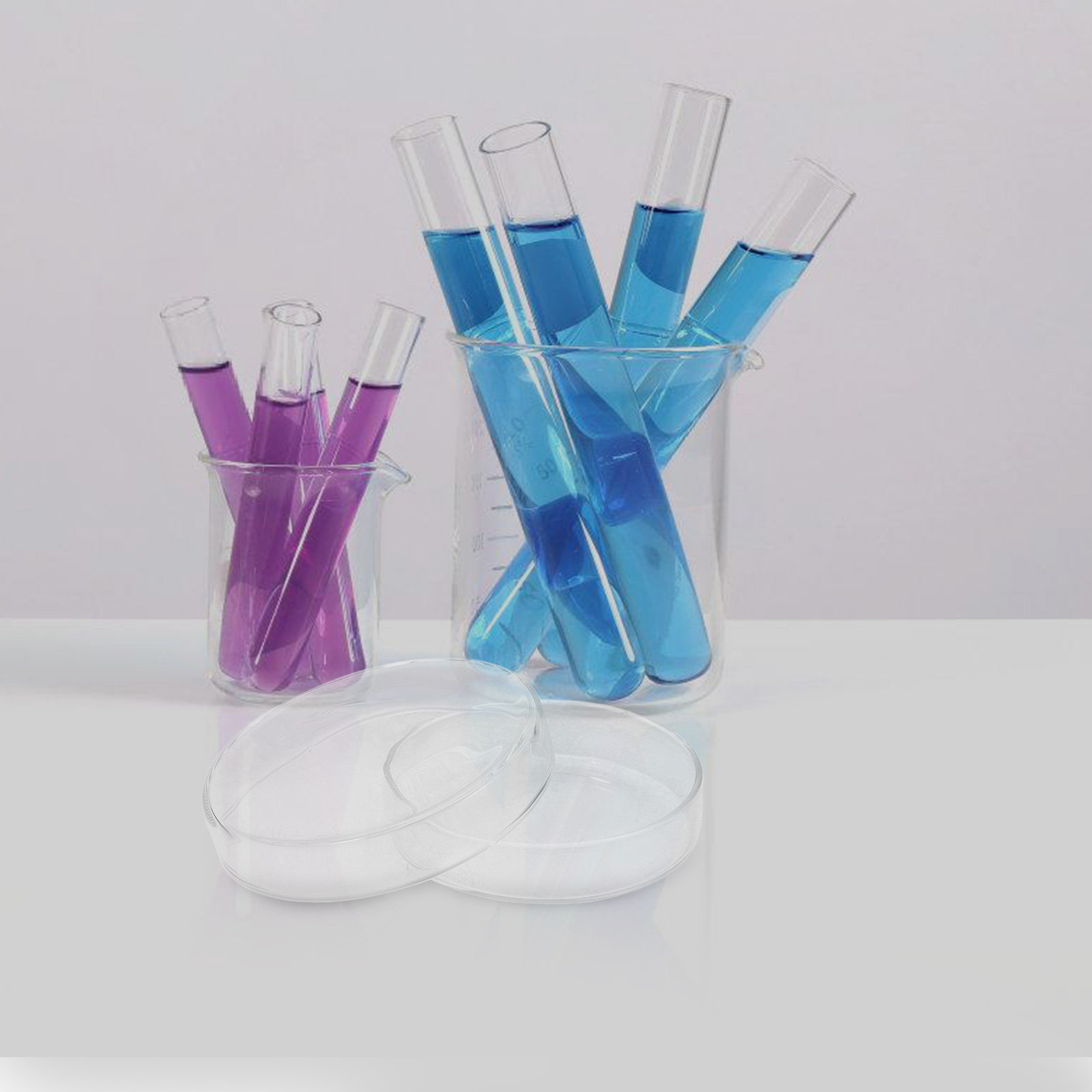 Hochborosilikatglas-Petrischal – Agar Tissue Culture Bewertung und Preis